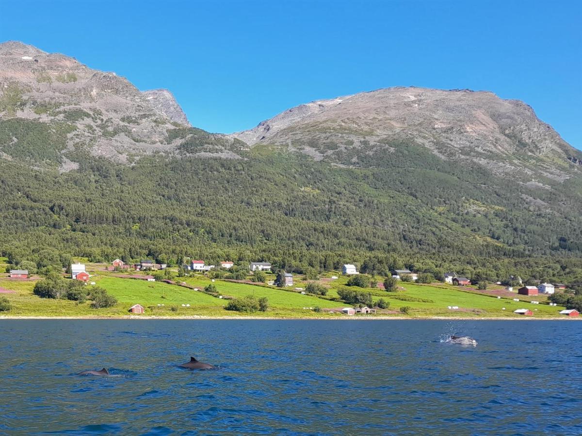 Olderdalen Ski Camp Exterior foto